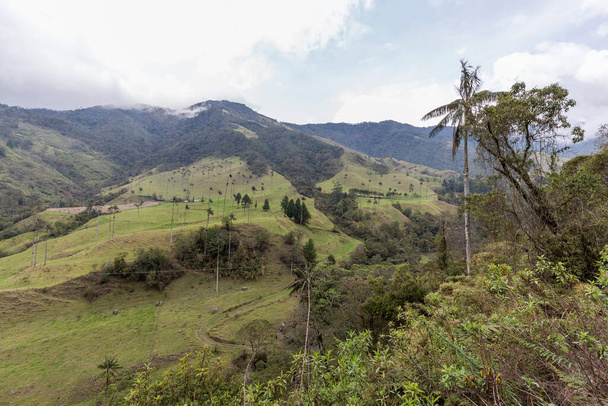 Vale do Cocora em estação chuvosa na montanha dos Andes, Colômbia - Foto, Imagem