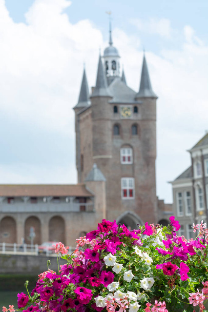 Προβολή παλαιών ολλανδικών σπιτιών και πύργου στο Zierikzee, ιστορική πόλη στην επαρχία Zeeland, Ολλανδία - Φωτογραφία, εικόνα