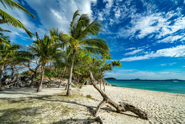Bananeninsel in Croron, Philippinen - Foto, Bild