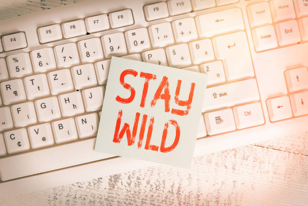 Концептуальный почерк, показывающий Stay Wild. Экспозиция бизнес-фото в конечном итоге является чрезвычайно энергичным в течение всего дня Клавиатура офис поставляет прямоугольной формы бумаги напоминание древесины
. - Фото, изображение