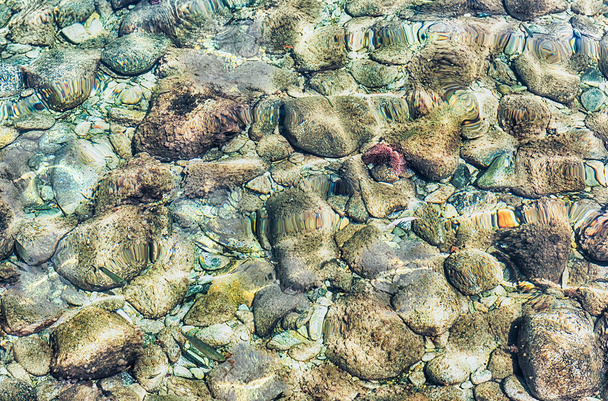 Underwater pebbles at the seaside. May be used as background - Photo, Image