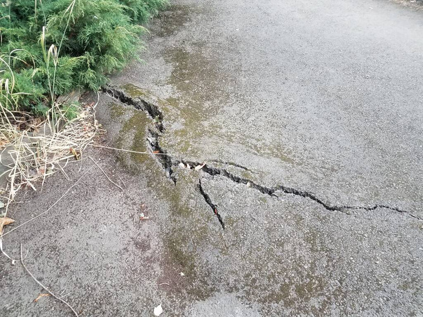 prasklina nebo poškození od kořene stromu v černém asfaltu nebo dlažbě - Fotografie, Obrázek