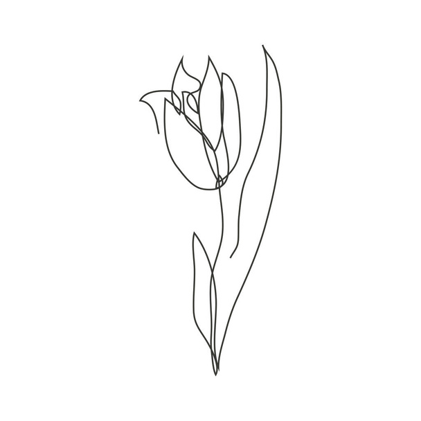 Continuous line decorative hand drawn tulip flower, design element. Can be used for cards, invitations, banners, posters, print design - Vecteur, image