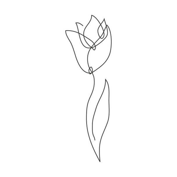 Continuous line decorative hand drawn tulip flower, design element. Can be used for cards, invitations, banners, posters, print design - Vektor, Bild