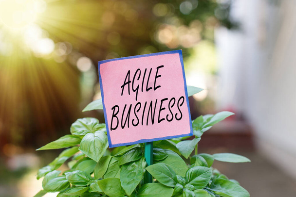 Writing note showing Agile Business. Business photo showcasing capability of adjusting quickly to the market s is trend Plain paper attached to stick and placed in the grassy land. - Photo, Image