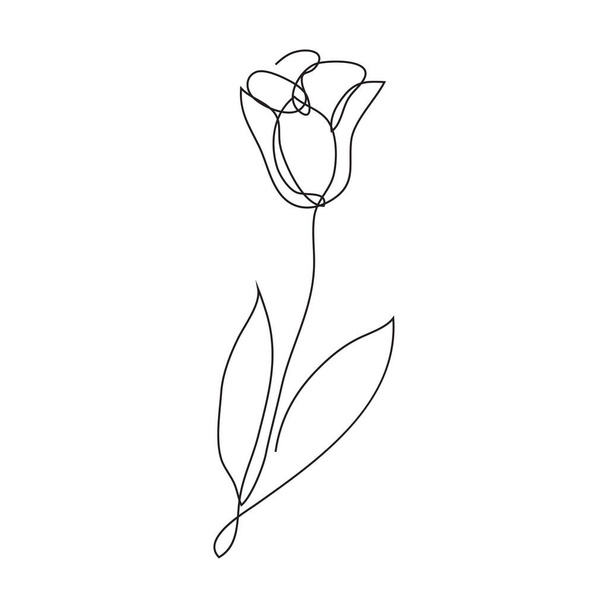 Continuous line decorative hand drawn tulip flower, design element. Can be used for cards, invitations, banners, posters, print design - Wektor, obraz