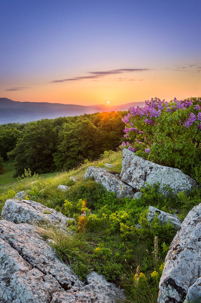 Incredibile colorato cielo alba sopra le montagne orizzonte, rocce di primo piano, fresco, vibrante viola lilla e luce del sole vivida erba verde e foresta durante l'inizio della primavera
 - Foto, immagini