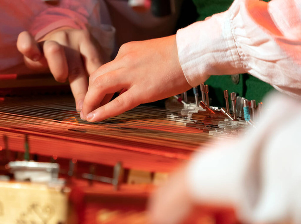 Χέρια παίζουν στο Kokle, ένα λατβιανό μαδημένο έγχορδο που ανήκει στην οικογένεια zither της Βαλτικής  - Φωτογραφία, εικόνα
