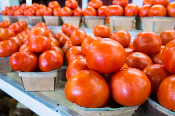 Tomatoes - Fotoğraf, Görsel
