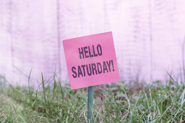 Writing note showing Hello Saturday. Business photo showcasing a positive message expressed during the start of the weekend Plain paper attached to stick and placed in the grassy land. - Photo, Image