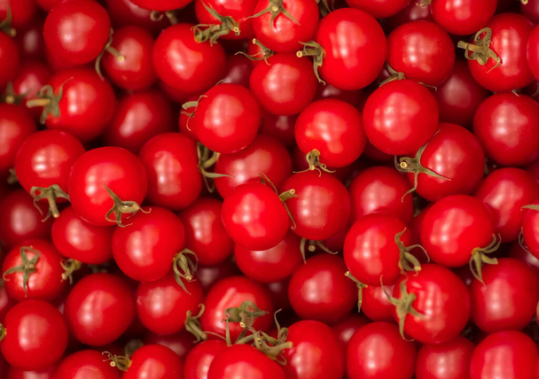 Sabrosos tomates rojos. Agricultura y agricultura. (enfoque selectivo
) - Foto, Imagen