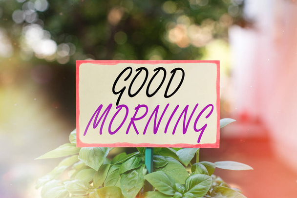 Text sign showing Good Morning. Conceptual photo happy day message and inspirational with a smile and love Plain empty paper attached to a stick and placed in the green leafy plants. - Photo, Image