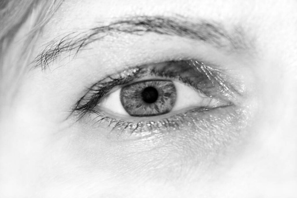 human eye close up macro as background - Photo, Image