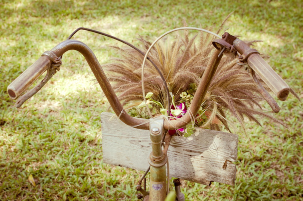 Oldtimer Fahrrad mit Blumengras - Foto, Bild