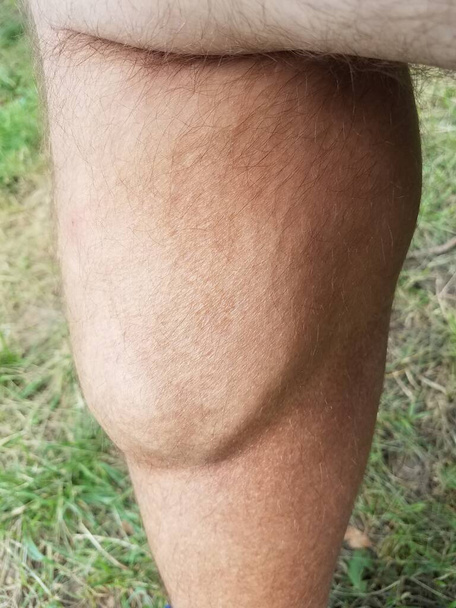grande muscolo polpaccio flesso sulla gamba dell'uomo peloso
 - Foto, immagini