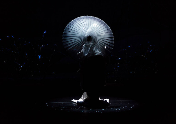 Unidentified people performing on theatre scene in japanese style - Fotografie, Obrázek