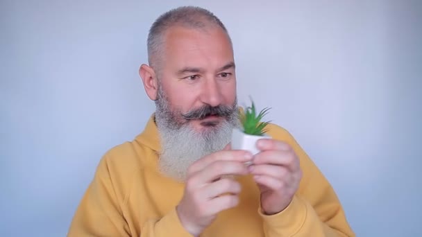 Close up of cheerful mature man with small potted plants. Senior man laughing on grey background. - Footage, Video