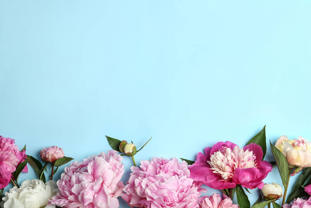 Beautiful peonies on light blue background, flat lay. Space for text - Foto, Bild