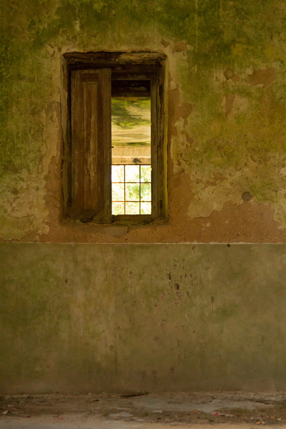 in venster - Foto, afbeelding