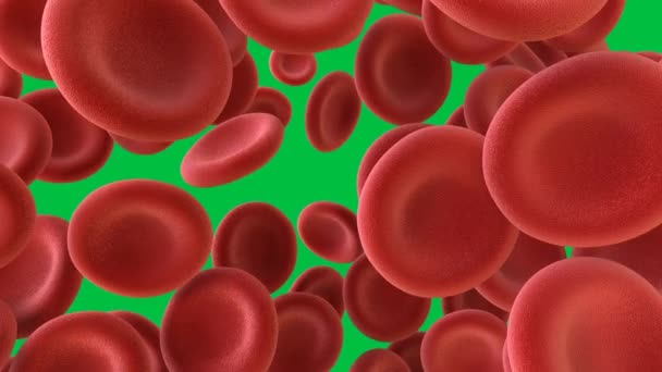 3d rendering vörös vérsejtek elszigetelt zöld képernyőn háttér 4k felvételek - Felvétel, videó