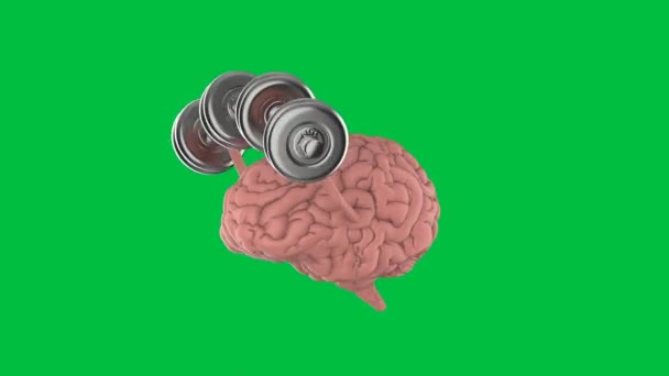 3D απόδοση εγκεφάλου κρατώντας αλτήρες σε πράσινο φόντο οθόνη 4k πλάνα - Πλάνα, βίντεο