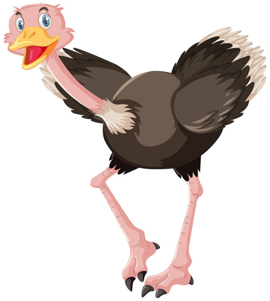 Lindo personaje de dibujos animados avestruz ilustración
 - Vector, Imagen