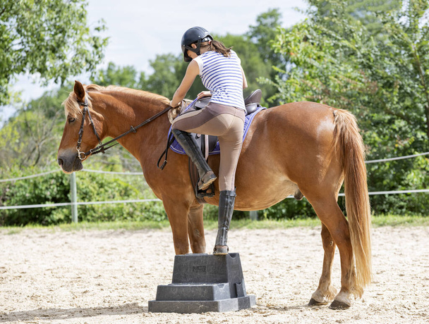  riding girl are training her horse in equestrian center - Photo, Image