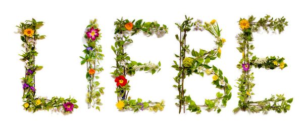 Flower And Blossom Letter Building Word Liebe Means Love - Photo, Image