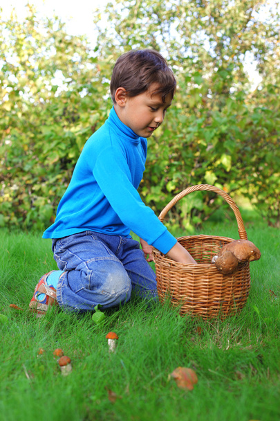 Little boy with mushrooms outdoors - Foto, afbeelding