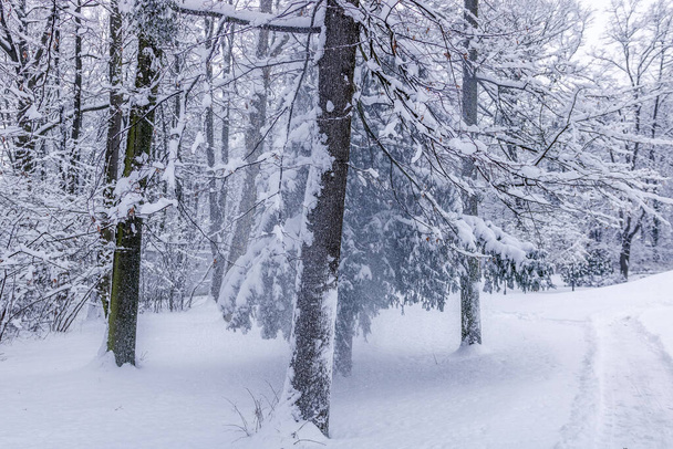 Město Valašské Meziříčí pokryté čerstvým sněhem v zimním období - Fotografie, Obrázek