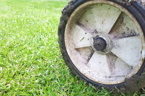 Wheel of lawn mower on grass - Photo, Image