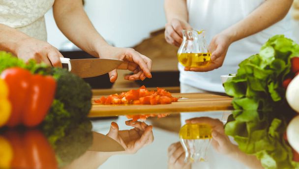 Closeup of human hands cooking in kitchen. Mother and daughter or two female friends cutting vegetables for fresh salad. Friendship, family dinner and lifestyle concepts - Photo, Image