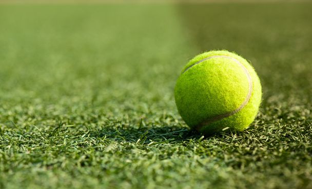 Una pelota de tenis en el patio
 - Foto, Imagen