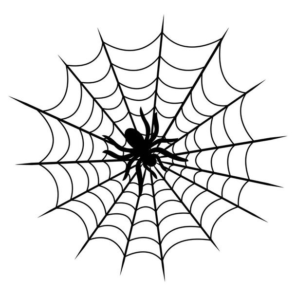 Tarantula on cobweb isolated on white backgound. Vector illustration - Διάνυσμα, εικόνα