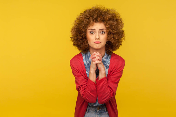 Please, I'm begging forgive! Portrait of upset worried woman with curly hair looking with imploring desperate grimace and praying for help, asking apology. studio shot isolated on yellow background - Photo, image