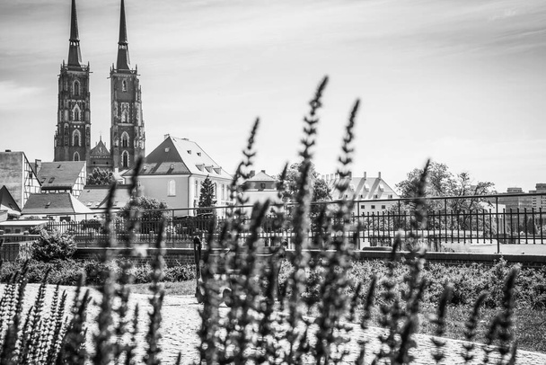 Hermosas iglesias de Wroclaw. Atracciones, viajes por Europa - Foto, imagen