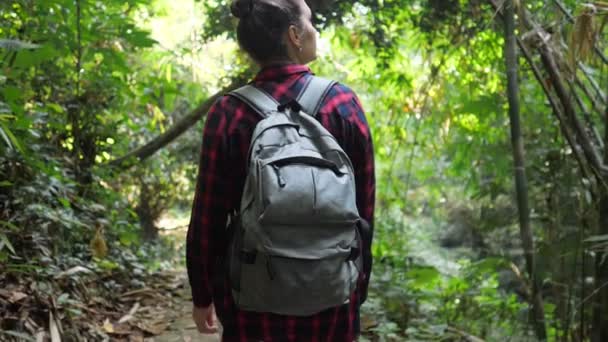 Sırt çantalı genç bir kadın yemyeşil tropikal ormanda yürüyor. - Video, Çekim