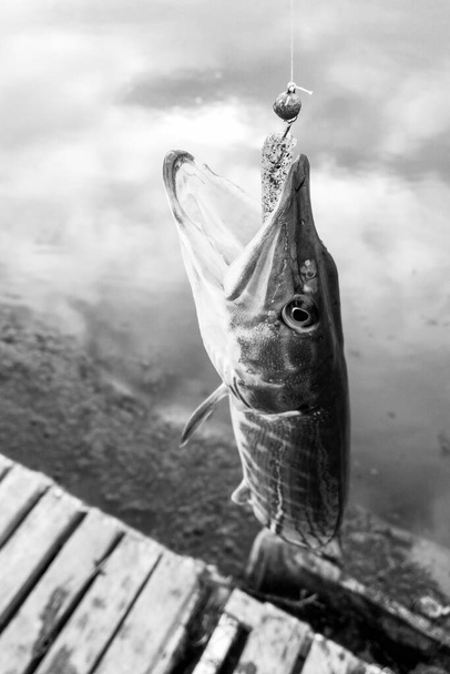 Рыбалка на озере
 - Фото, изображение