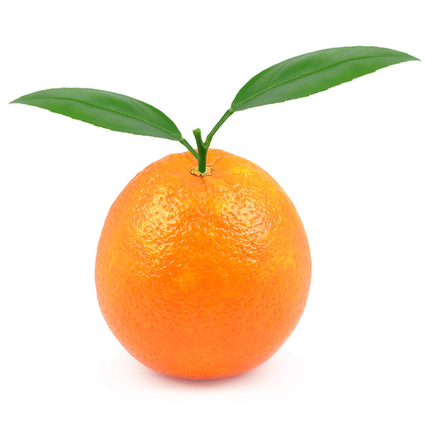Orange - Zdjęcie, obraz