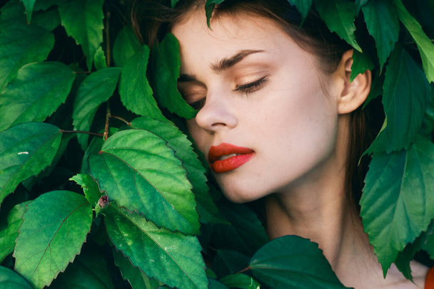Jeune belle femme posant avec des feuilles autour de son visage - Photo, image