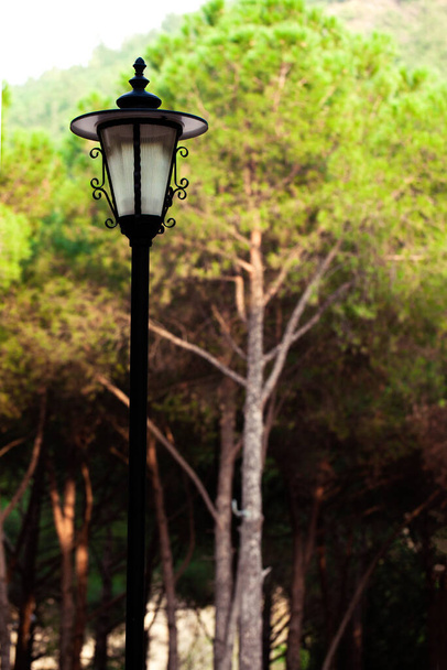 Lampada da strada decorativa nella foresta foto
 - Foto, immagini
