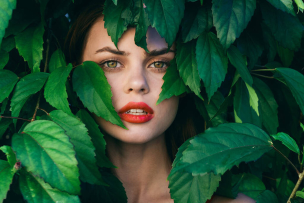 Молода красива жінка позує з листям навколо її обличчя
 - Фото, зображення