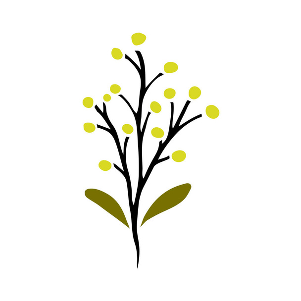 Bosquejo de una planta con hojas y bayas. Elemento aislado vectorial para diseño
.  - Vector, Imagen