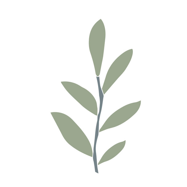 Hand drawn laurel branch on a white background. Vector isolated element for design card, print, wrapping.  - Διάνυσμα, εικόνα