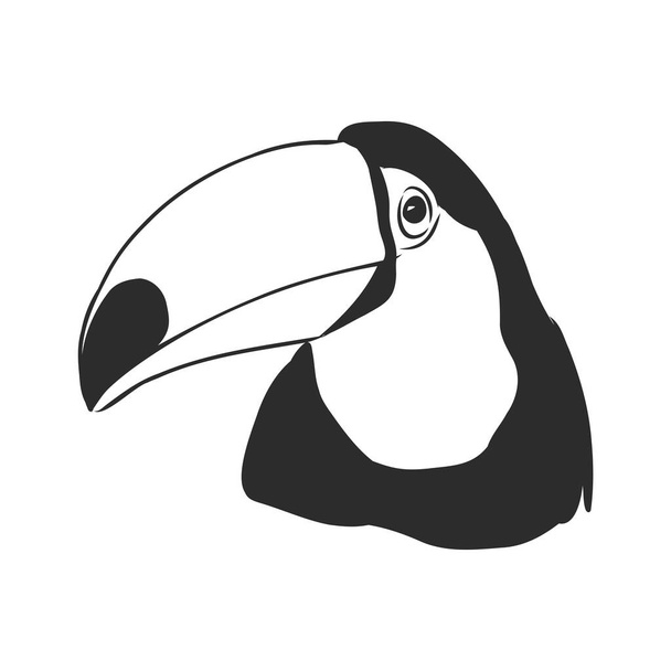 toucan dibujado a mano ilustración vectorial boceto realista, pájaro tucán, ilustración de boceto vectorial
 - Vector, Imagen