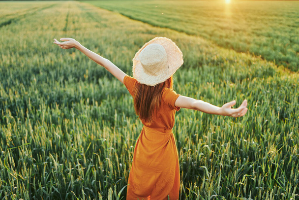 Nuori nainen poseeraa vehnäpellolla auringonlaskun aikaan. - Valokuva, kuva