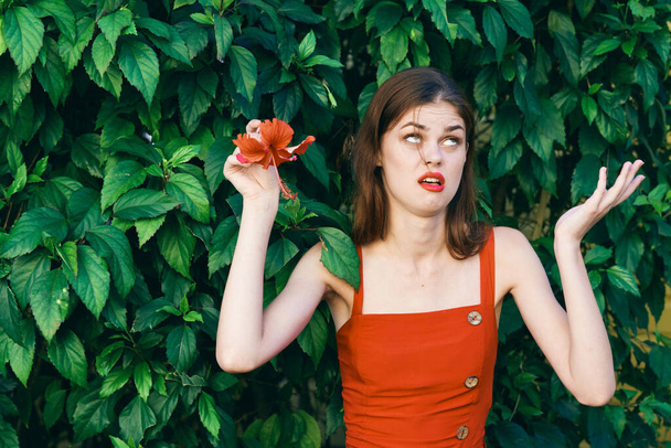 crazy  woman posing with flower in garden  - Zdjęcie, obraz