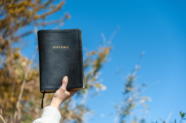 Erhobene Hand hält die Heilige Bibel. Hintergrund mit Bäumen und blauem Himmel an einem schönen Wintermorgen. Horizontalschuss. - Foto, Bild