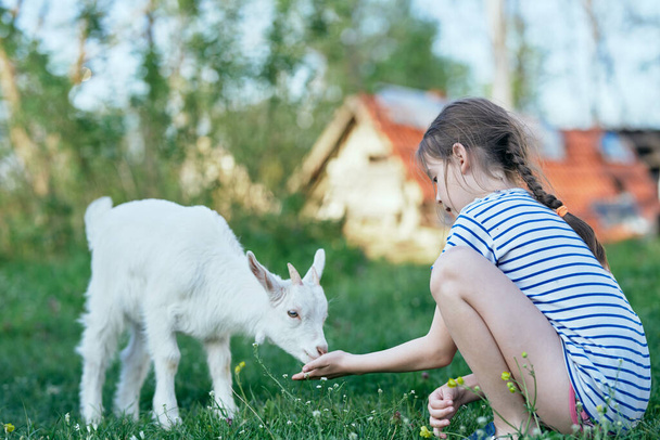 roztomilá dívka hraje s bílou kozou na trávníku  - Fotografie, Obrázek