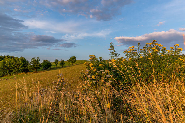 Niitty maisema maaseudulla näkymä pensaita ja taustalla sininen taivas monia pilviä auringon valo ja metsä lähellä kaupunkia Valasske Mezirici kaapattu kesällä myöhään aikaan mäeltä. - Valokuva, kuva